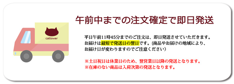 平日11：45までのご注文で即日発送