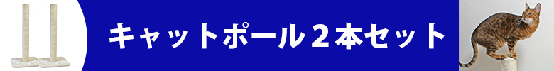 キャットポール2本セット