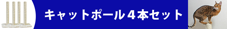 ４本セット