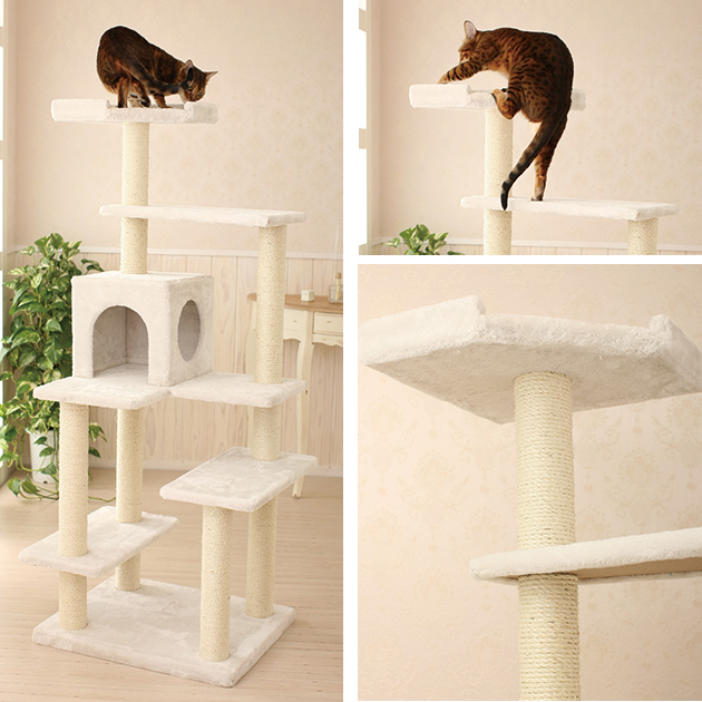 Mau キャットタワー プルミエ Amazon | Mau キャットタワー プルミエ | Mau | キャットタワー 通販