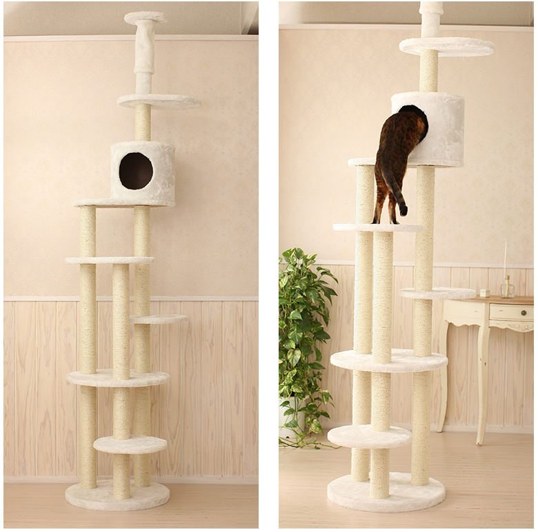 Mauタワートルテ