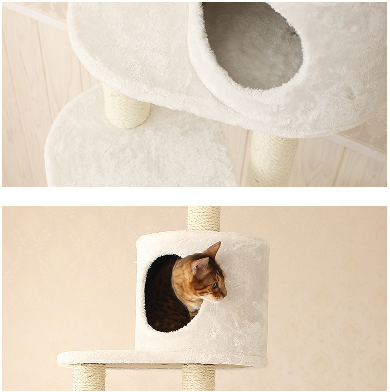 Mauタワートルテ