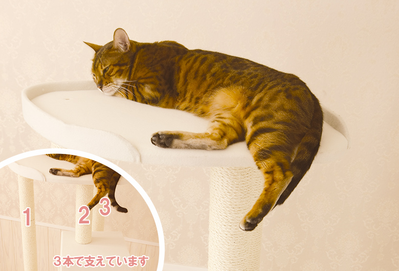 オリジナルキャットタワーMau