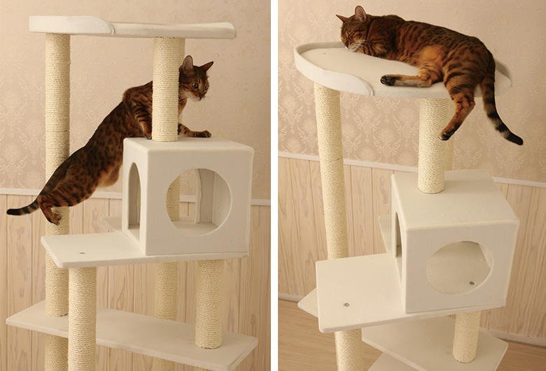 Mau（マウ）　キャットタワー　プロムナード オリジナルキャットタワーMau