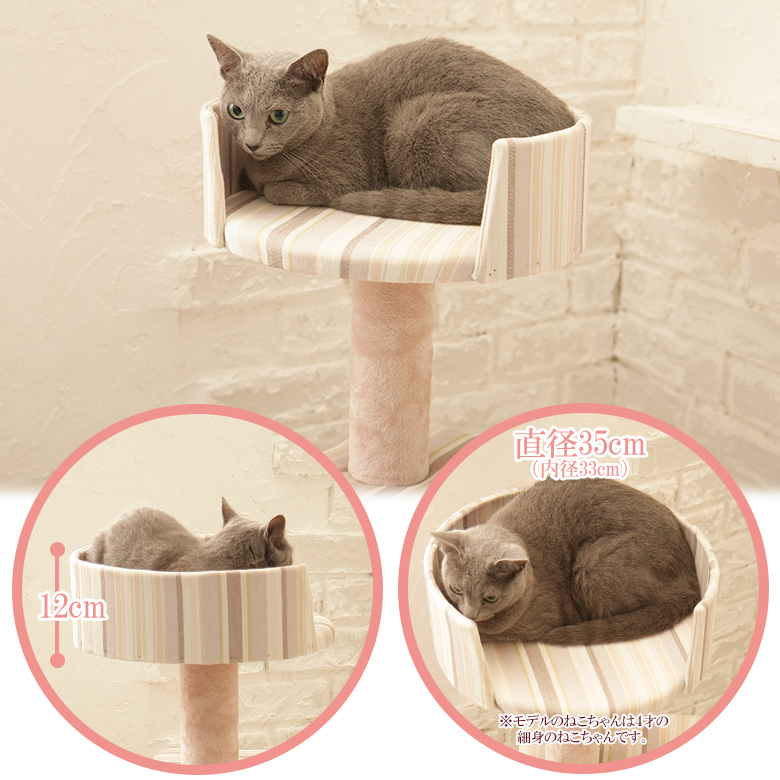 背もたれがしっかりしたまあるいベット