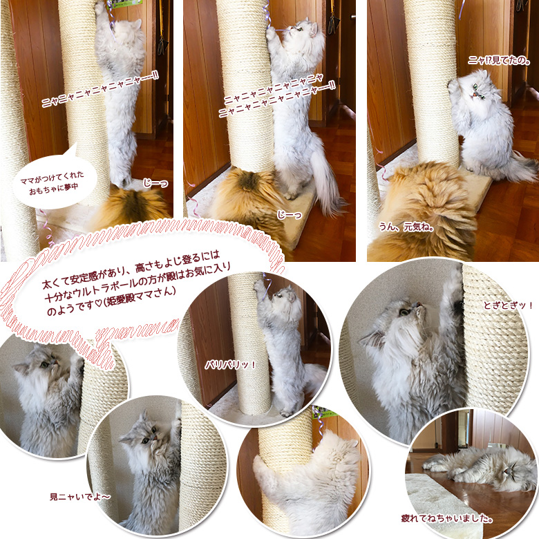 楽天市場】爪とぎ ポール 猫 麻縄 交換部品 大型猫 ロング 極太